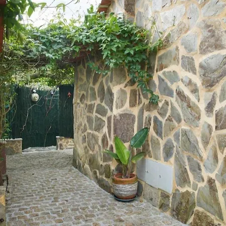 Casa Luz Monte Murtosa Portugal Apartment Canto do Arego
