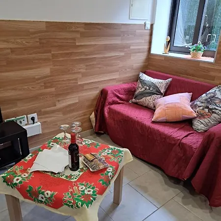 Casa Luz Monte Murtosa Portugal Apartment